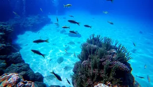 Colorful Tropical Fish Swimming in Sunbeam on Coral Reef