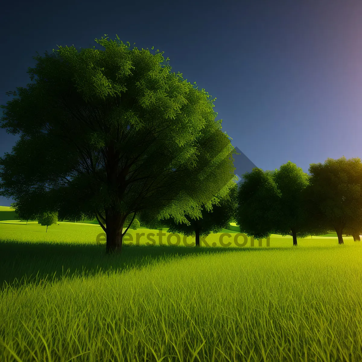 Picture of Idyllic Countryside Landscape with Oak Trees and Sunny Meadow