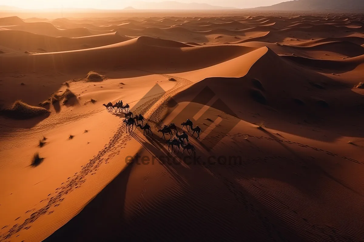 Picture of Orange sky over sandy dunes in Morocco