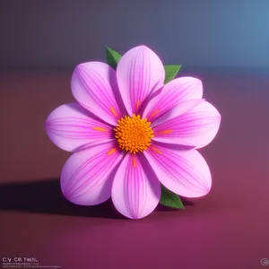 Blossoming Pink Daisy in Vibrant Garden