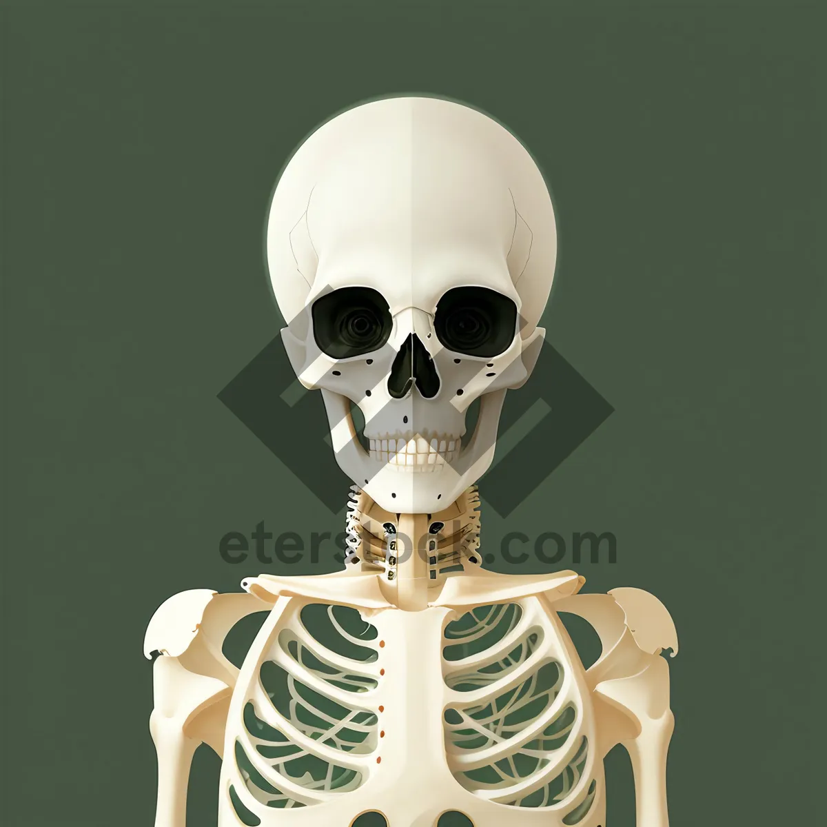 Picture of Spooky Skeleton Head Mask - Biology meets Horror