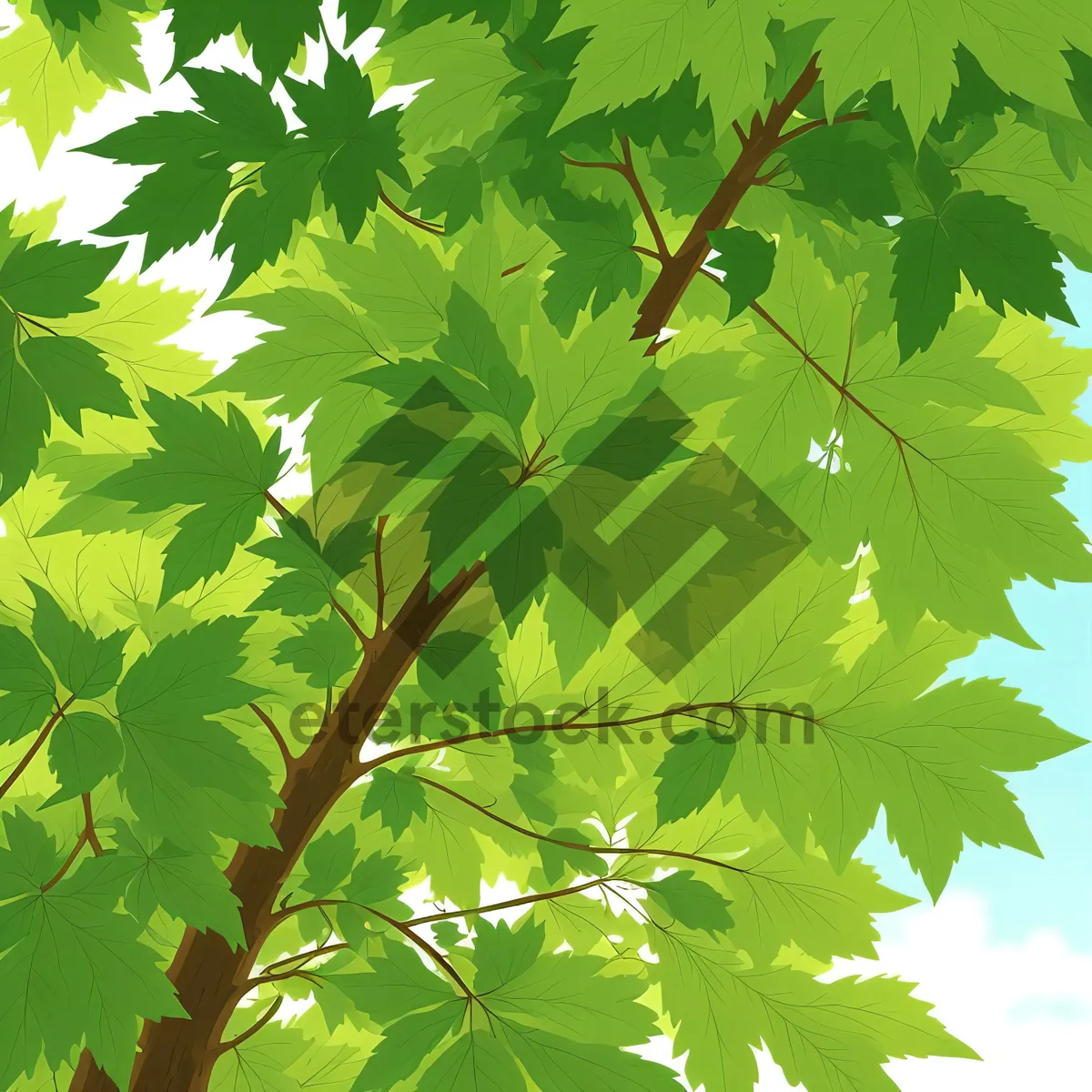 Picture of Lush Maple Leaves in Sunlight