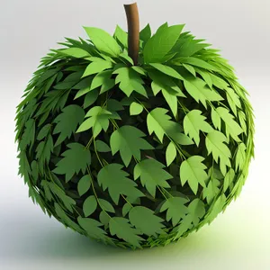 Fresh Organic Apple Seedling - Natural and Healthy Fruit