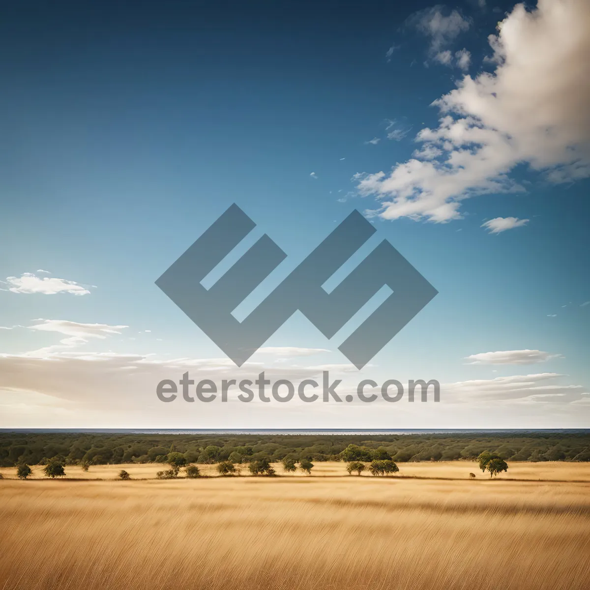 Picture of Sunset over the Sunny Steppe: Serene Summer Landscape