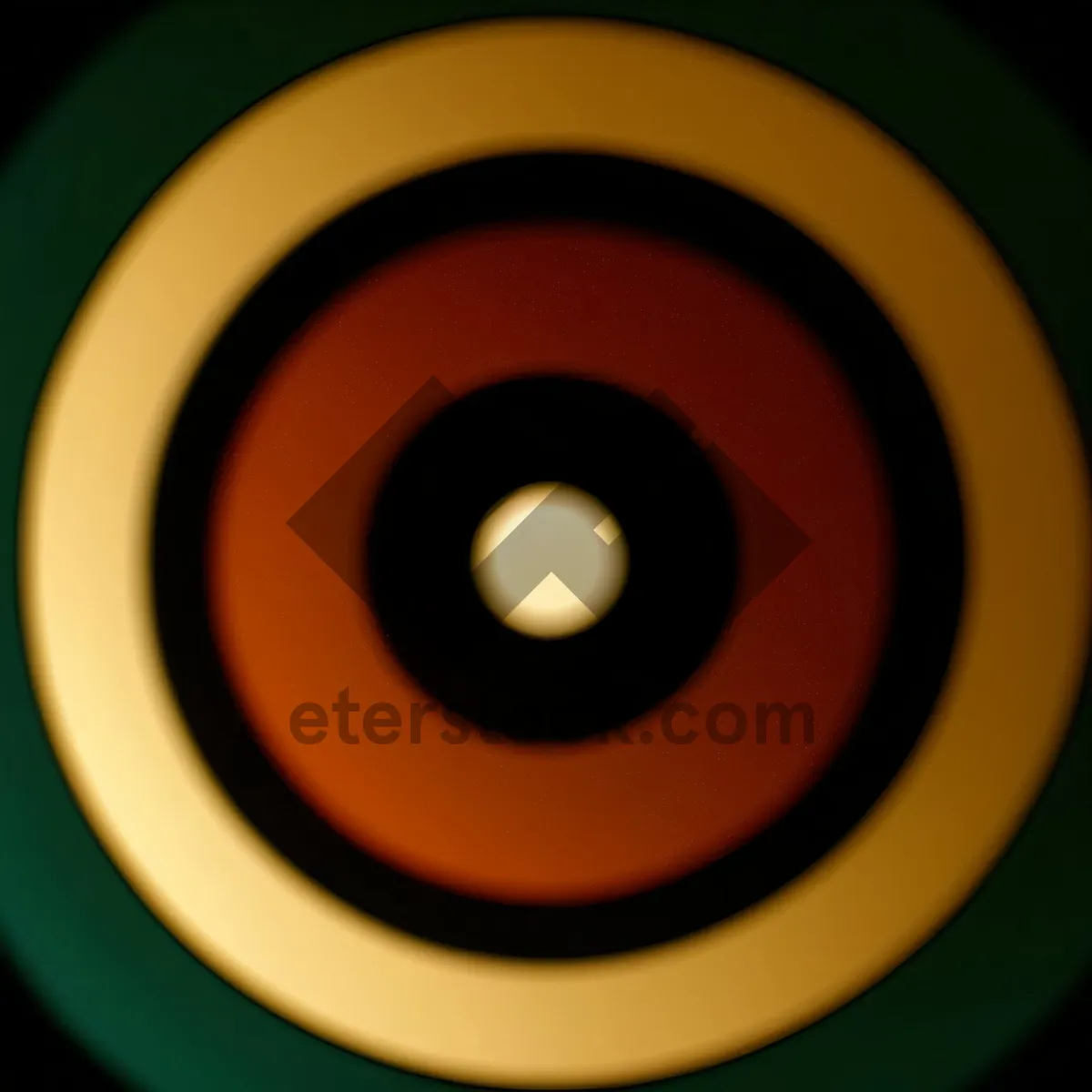 Picture of Shiny Acoustic Circle Icon with Reflection