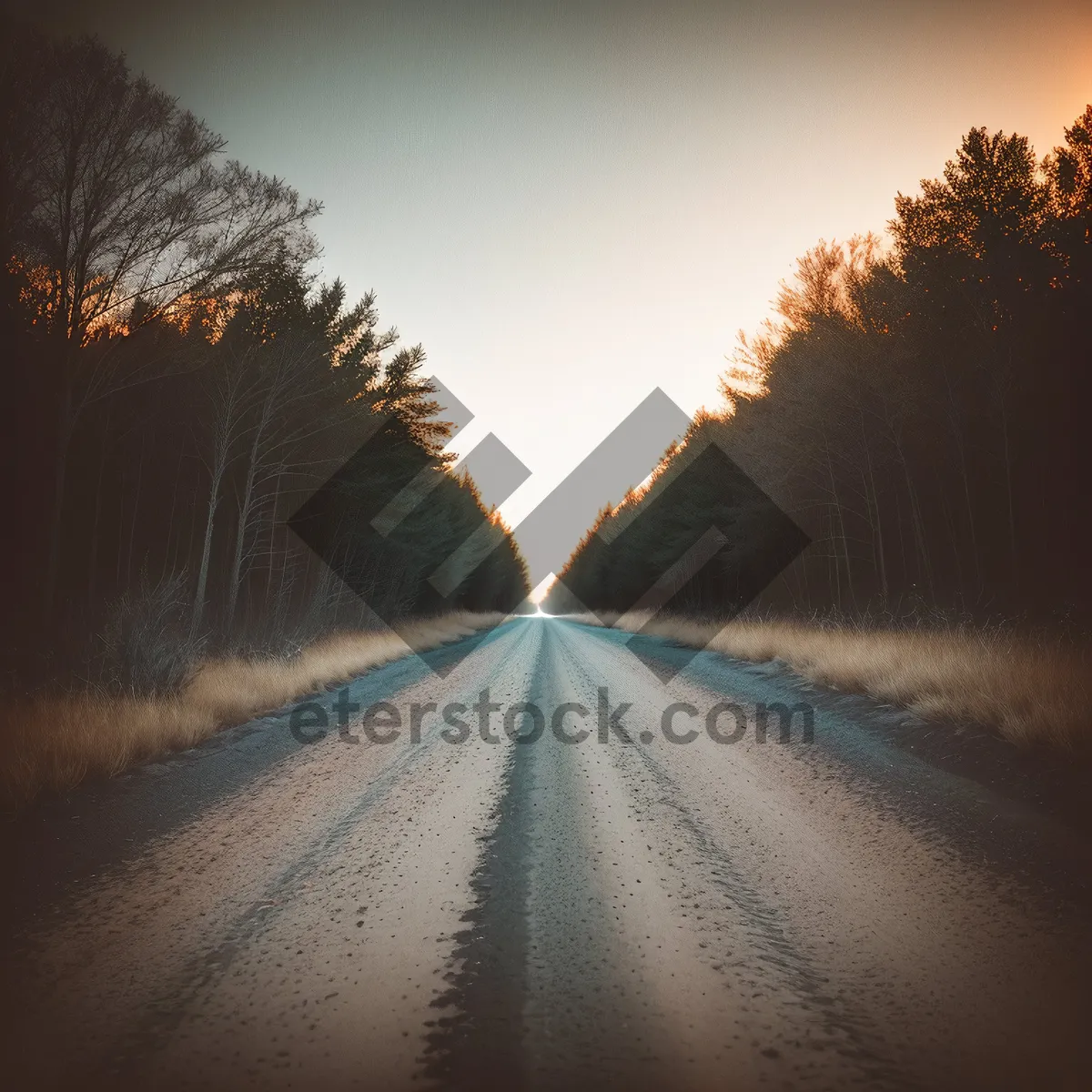 Picture of Speeding through the Tunnel of Motion