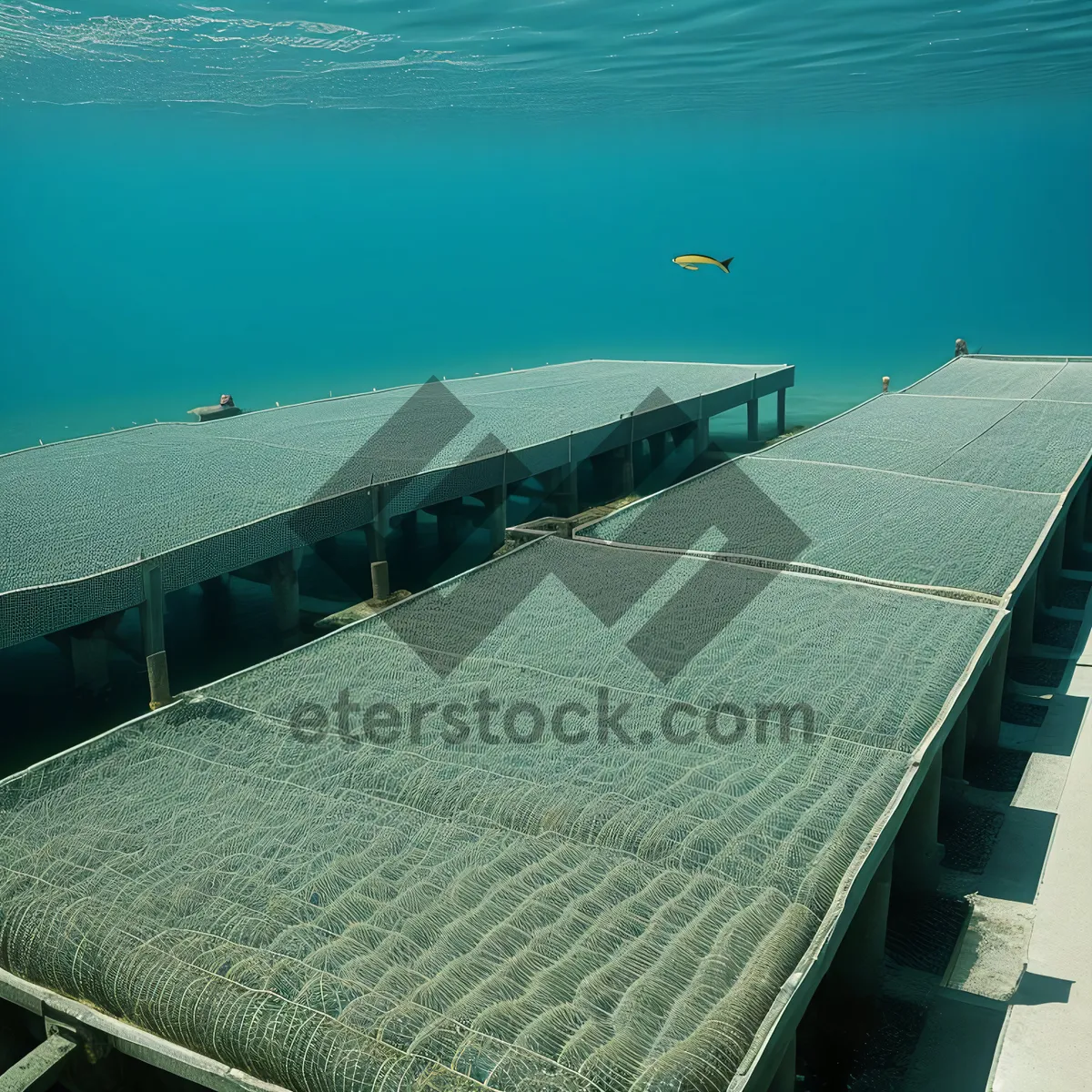 Picture of Sun-kissed Solar Array Shines over Serene Seascape