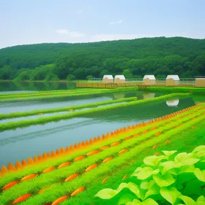 Bountiful Spring Crop on Scenic Farm