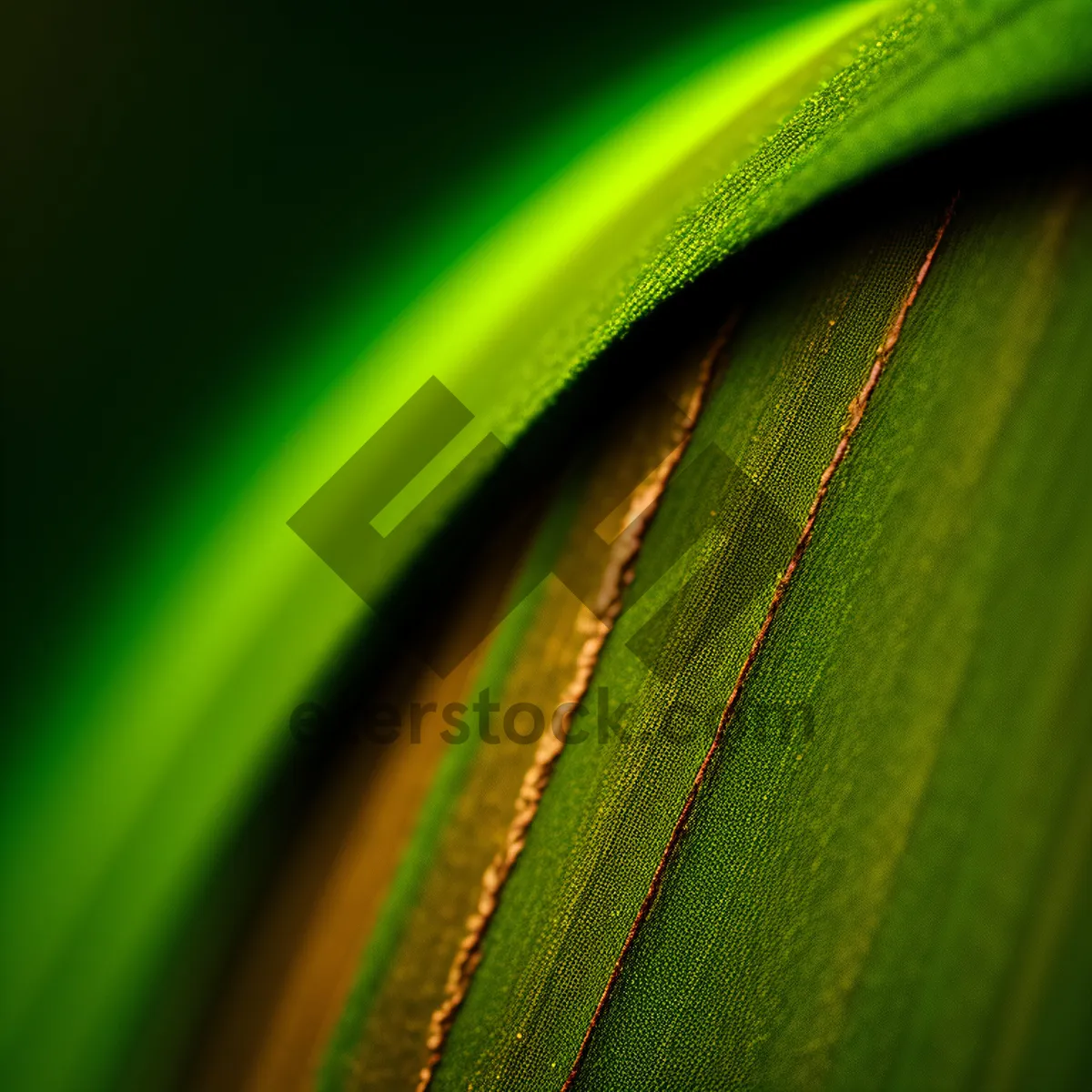 Picture of Vibrant Agave Leaf: Desert-inspired Fractal Art