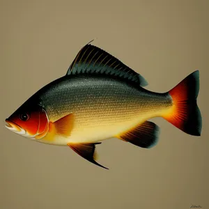 Colorful Goldfish Swimming in Aquarium