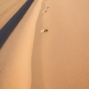 Dune Sand Texture: A Dry Desert Landscape with Textured Surface