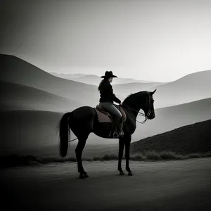 Farm Horse in Harness at Equestrian Ranch