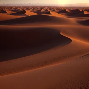 Sandy Adventure: Sun-Kissed Dunes in Desert Landscape