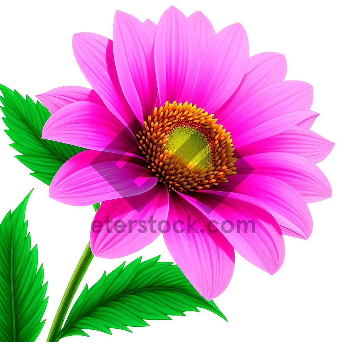 Picture of Bright Pink Floral Pattern: Pollen-inspired Graphic Design