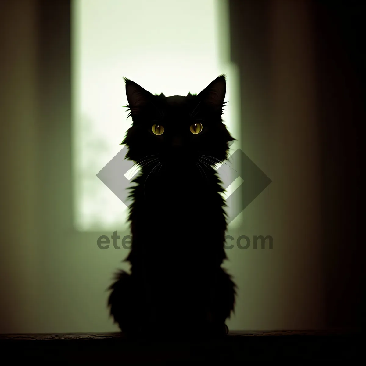 Picture of Cute and Fluffy Kitty on Windowsill