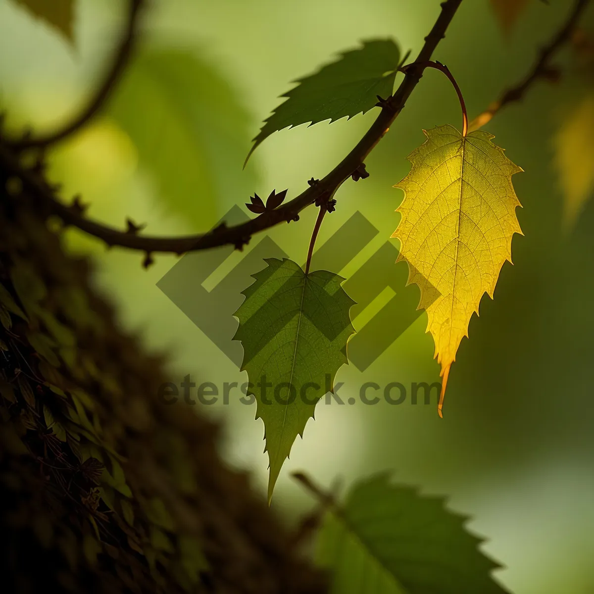 Picture of Sunlit Garden Delights with Lush Foliage