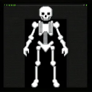 Skeletal Anatomy: 3D X-ray of Human Skull