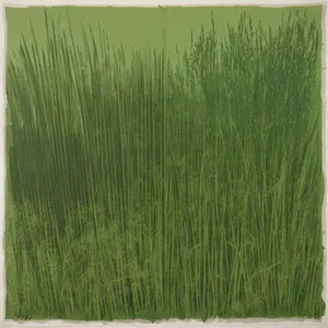 Textured textile loom in lush green field