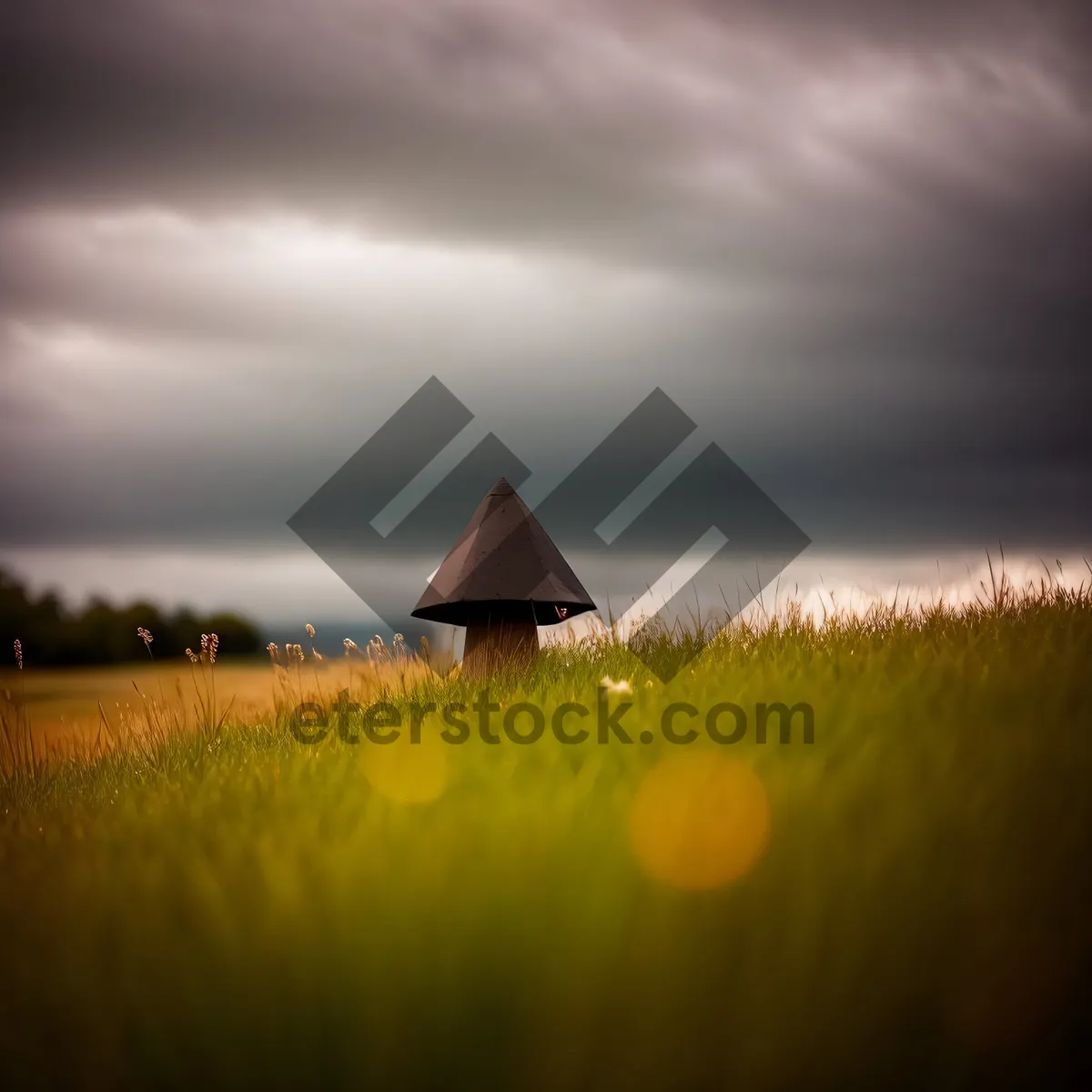 Picture of Idyllic countryside barn under vibrant summer sky