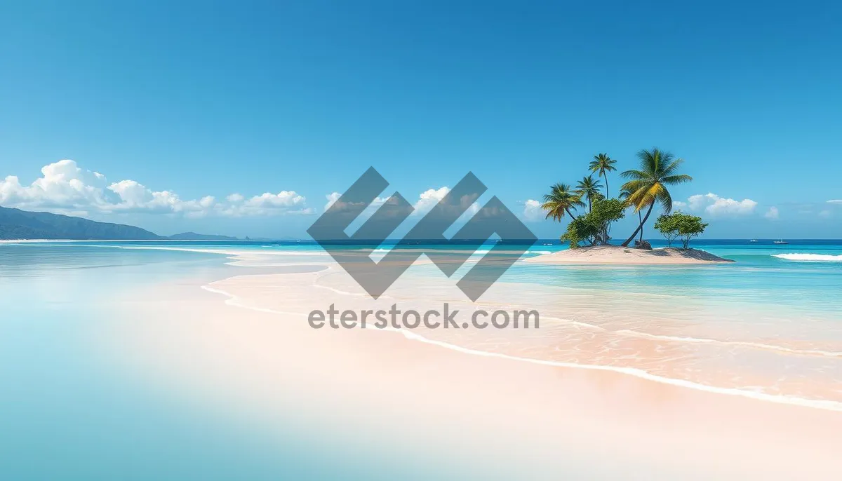 Picture of Tropical paradise beach sunset landscape with palm trees.