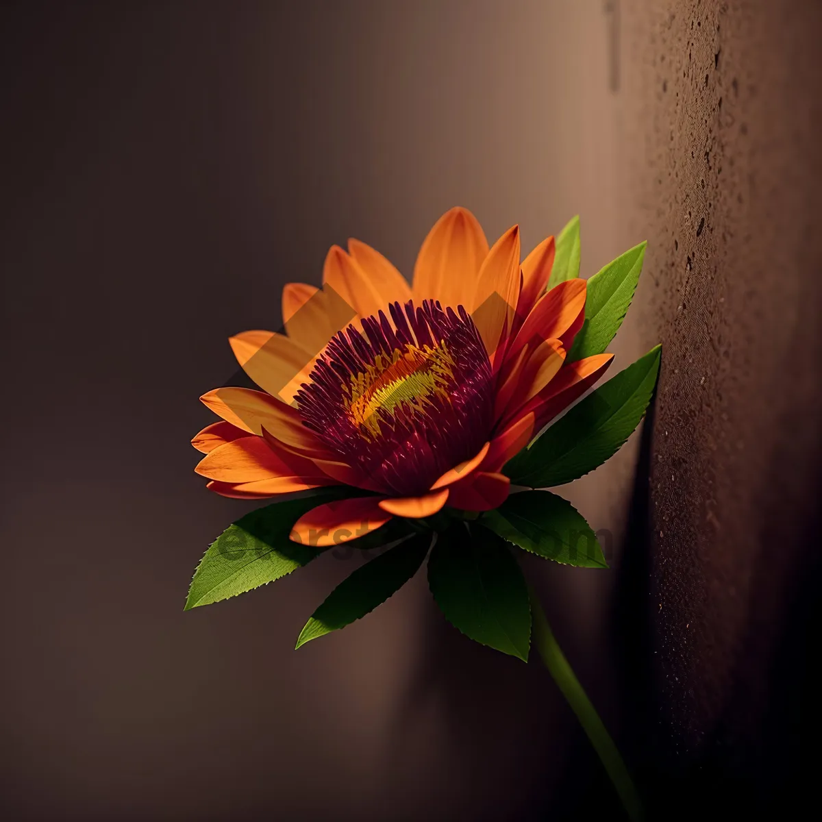 Picture of Vibrant Sunflower Blossom in Sunny Field