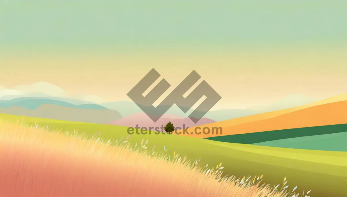 Picture of Colorful Summer Sunset Sky Landscape with Rolling Hills