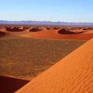 Scorching Sahara: Majestic Desert Dunes Under the Sun