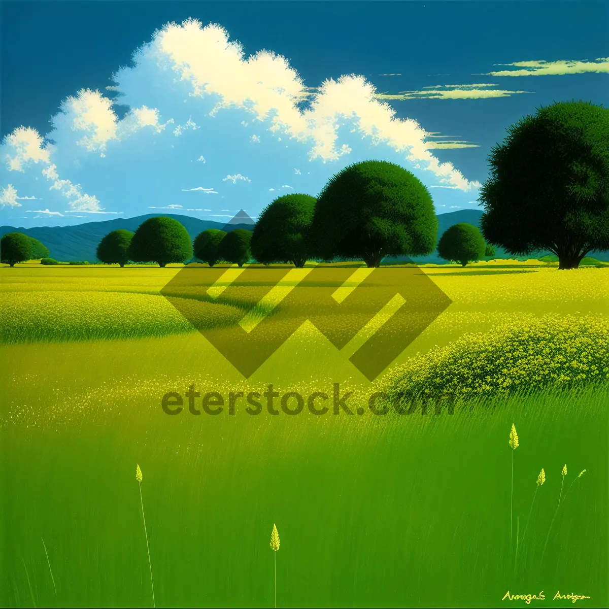 Picture of Golden Fields of Rapeseed in Full Bloom