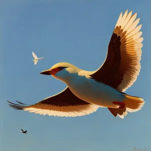 Coastal Seagull Soaring in Ocean Sky