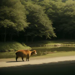 Wild boar grazing in a lush meadow.