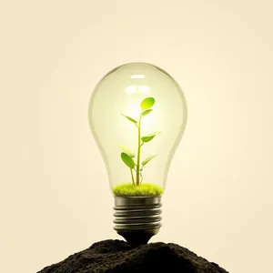 Light Bulb Innovation: Energy in Glass