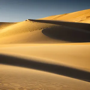 Endless Sands: Majestic Desert Dunes and Sun-Covered Horizons