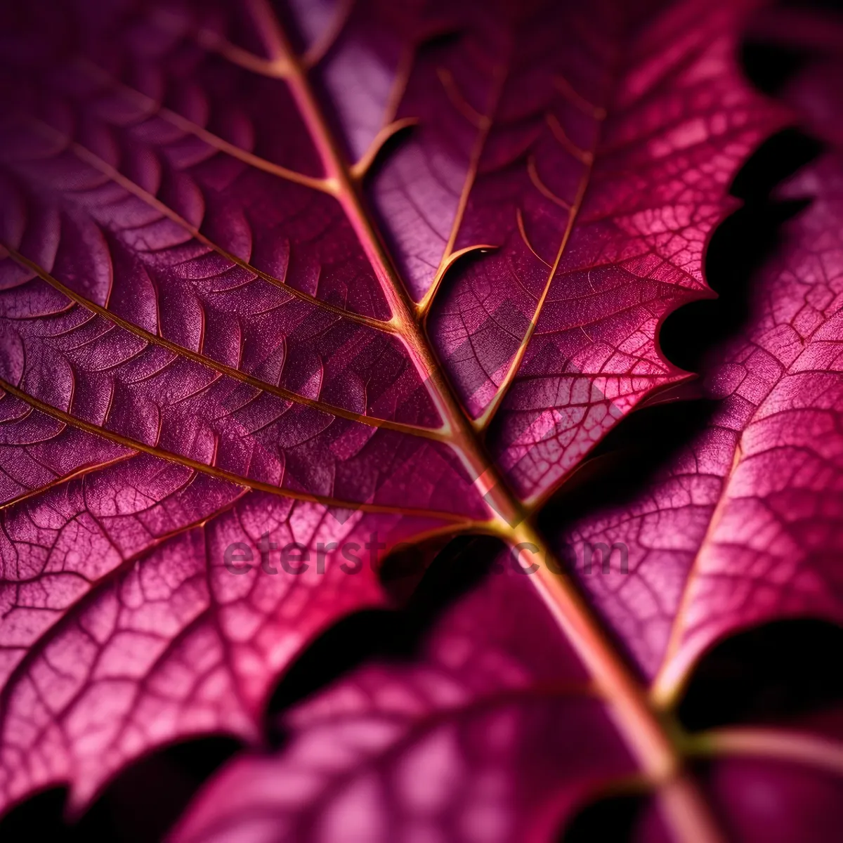 Picture of Futuristic Maple Leaf Pattern: Colorful Autumn Wallpaper