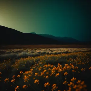 Golden Horizon: Tranquil Sunset over Meadow and Mountains
