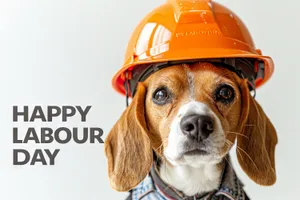 Professional worker dog in construction helmet