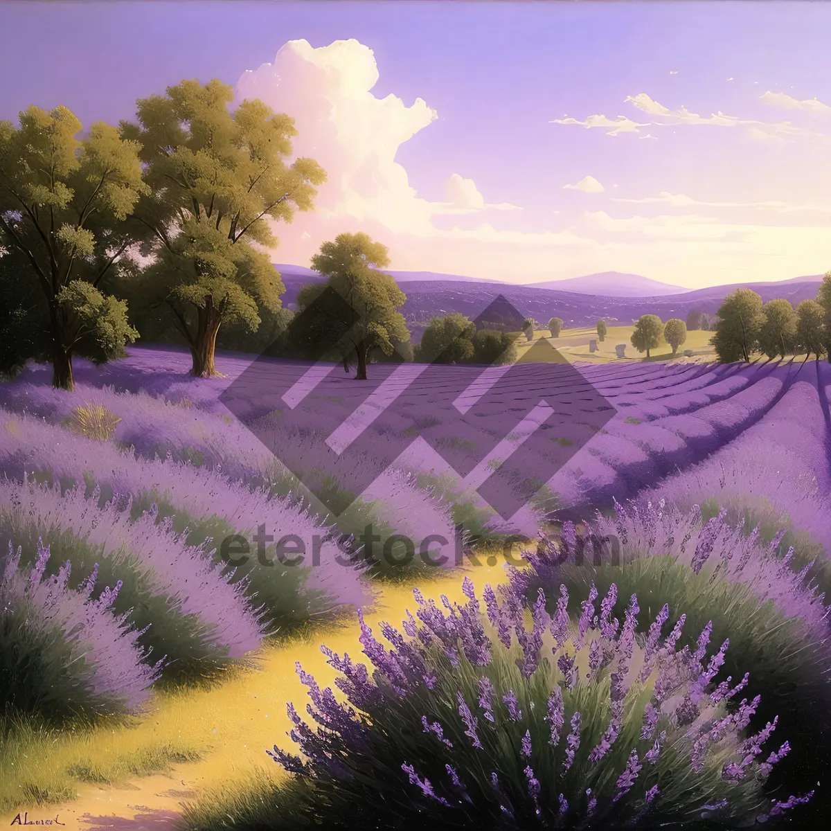 Picture of Night Sky Fireworks Burst Over Lavender Field