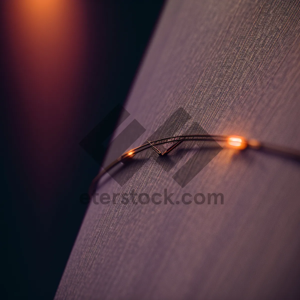 Picture of Insect Walking Stick - Close-up Safety Pin Needle
