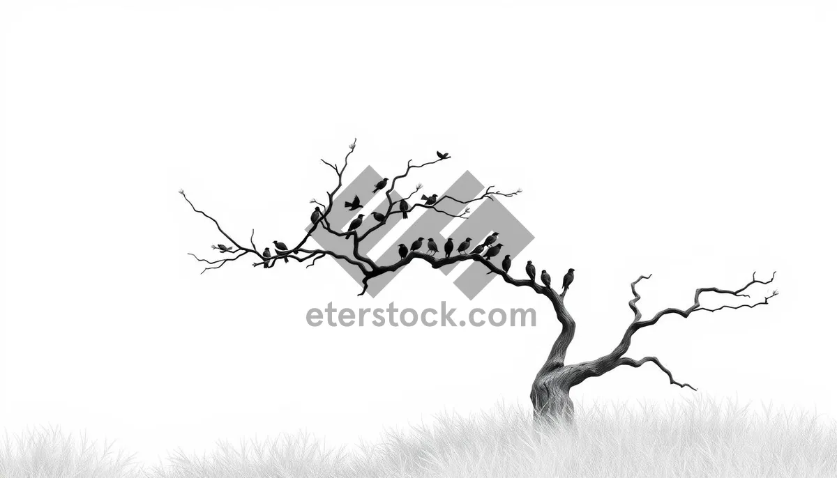 Picture of Black floral tree silhouette design for spring season
