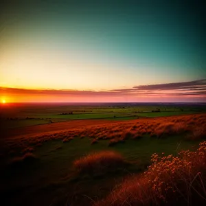 Golden Horizon: A Tranquil Sunset in the Meadow