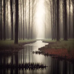 Serenity at Sunset: A Majestic Forest Reflects in the Glittering Lake