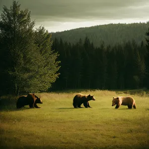 Rural Cows Grazing in Green Pasture