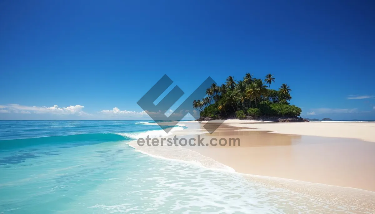 Picture of Sunny Island Getaway by the Seaside Paradise