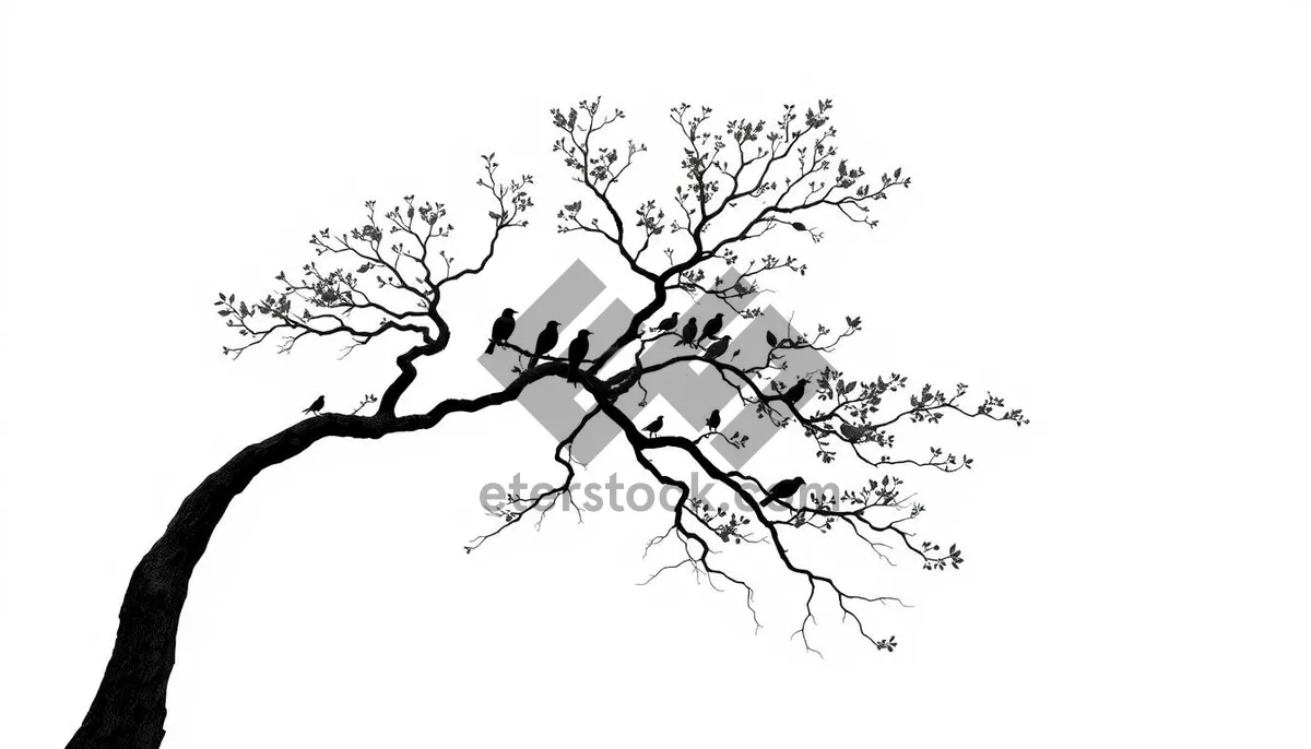 Picture of Black seasonal tree silhouette with branch design tracing.