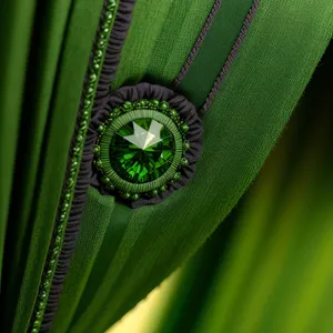 Lush Tree Leaf with Intricate Coil in Garden