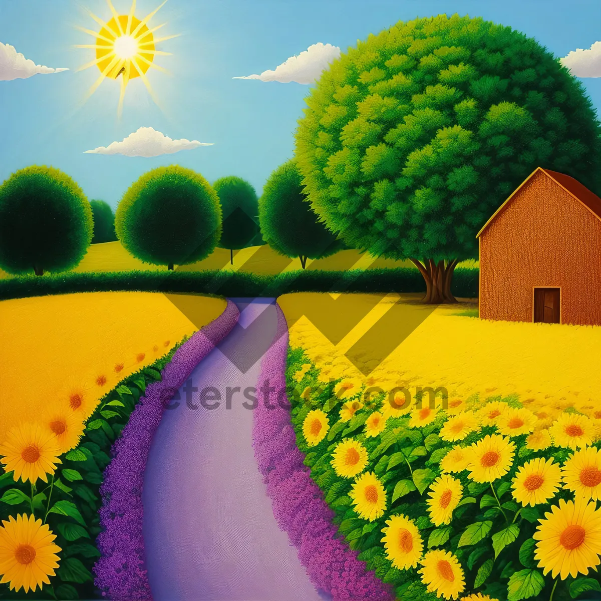 Picture of Bright Yellow Sunflower Blooming in Summer Field