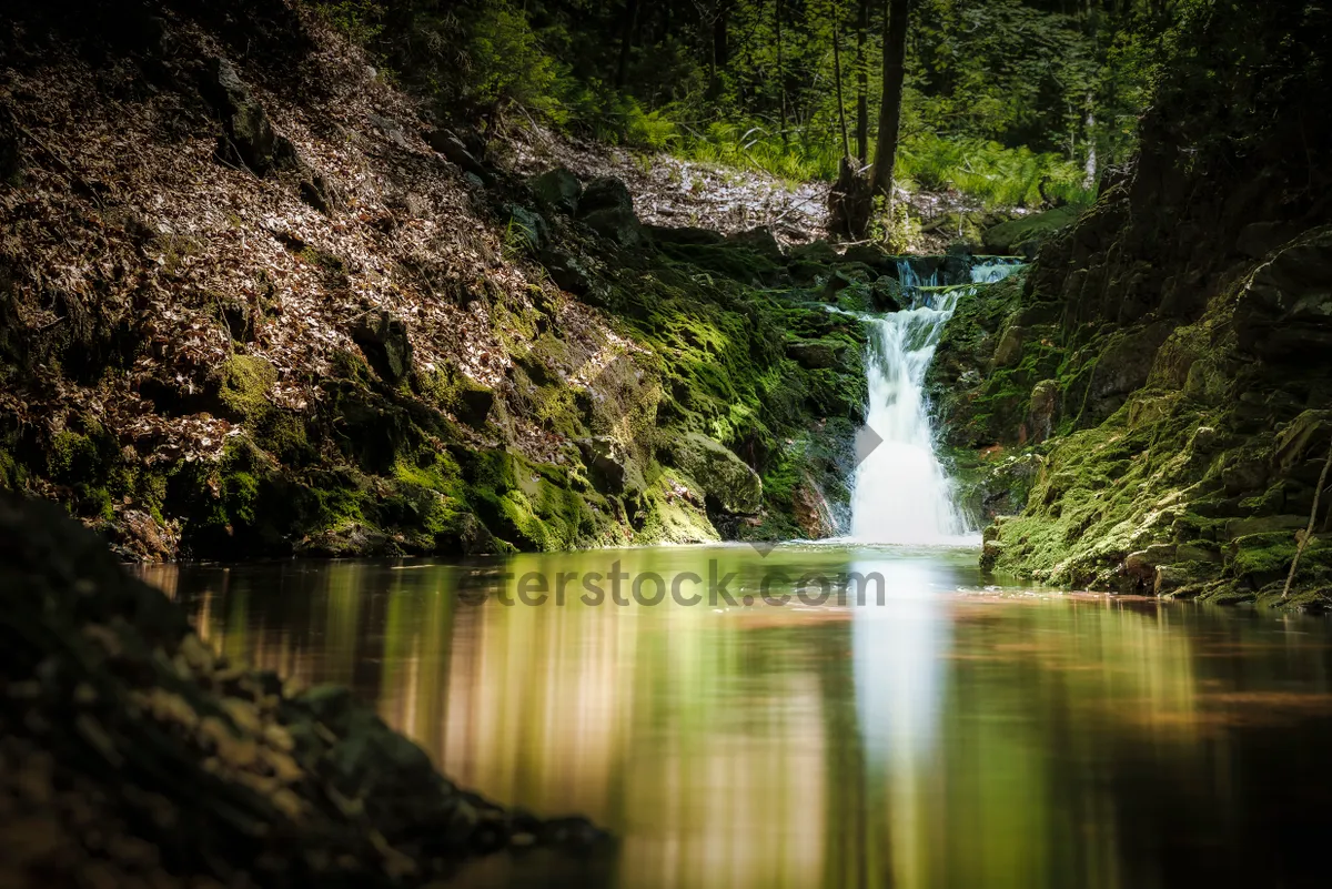 Picture of Scenic River Flowing Through Forest with Stone Bridge