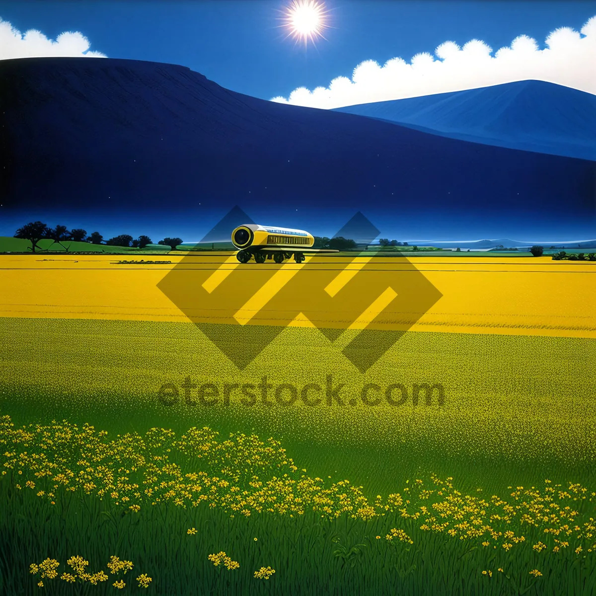 Picture of Vibrant Yellow Rapeseed Field in Rural Landscape