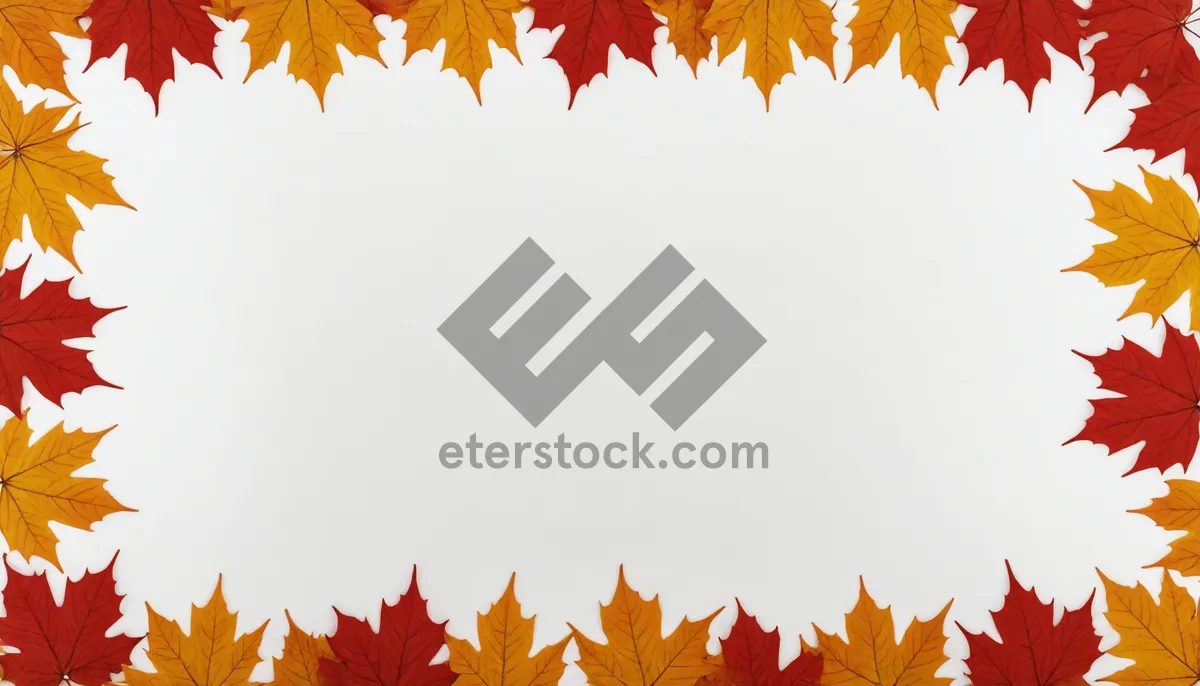 Picture of Autumn leaves design in orange and yellow hues
