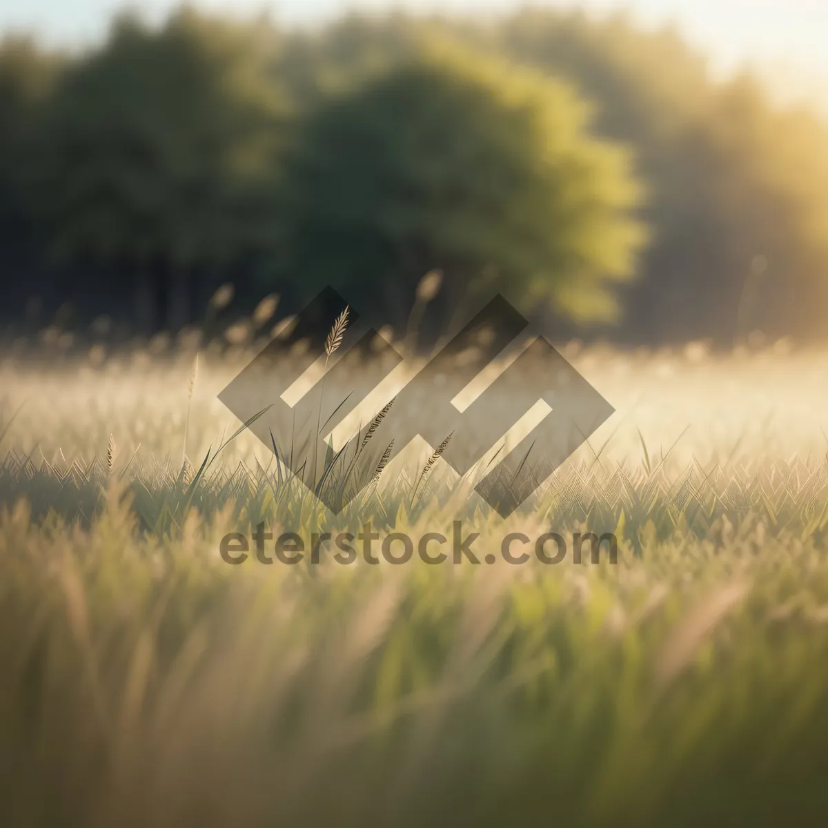 Picture of Golden Harvest: Wheat Field under a Sunlit Sky.