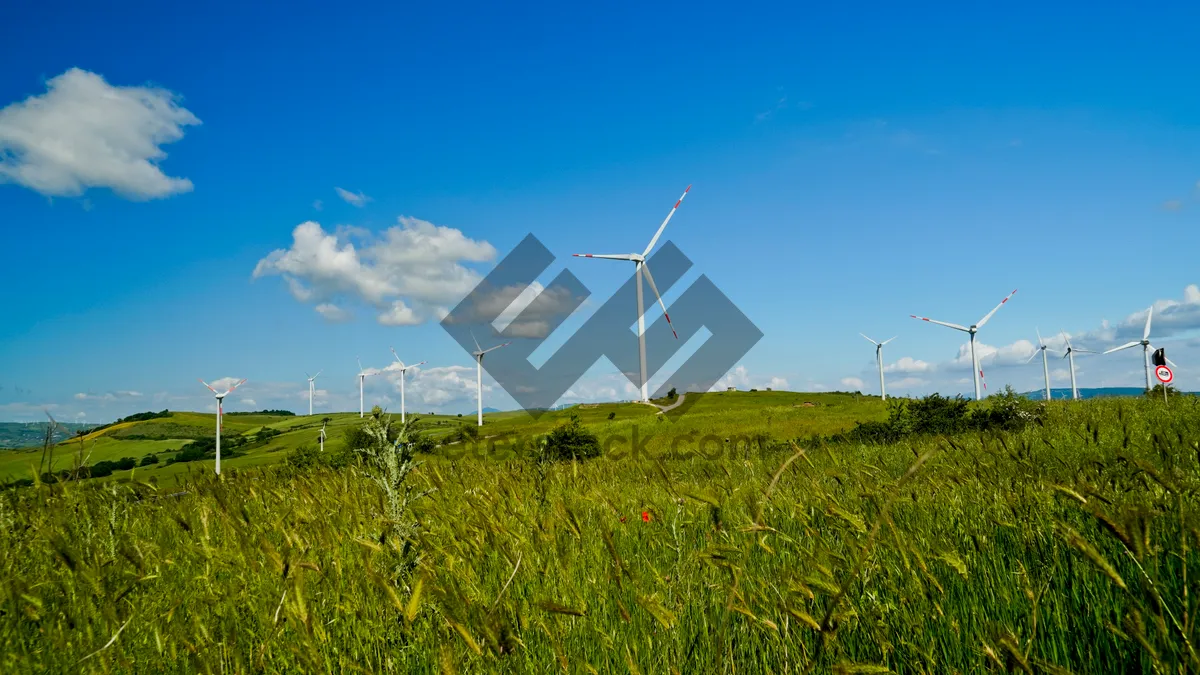 Picture of Renewable Energy Windmill in Rural Landscape Under Cloudy Sky.